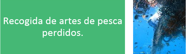 Recogida de artes