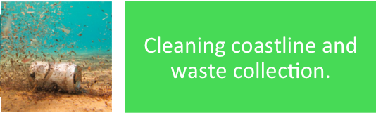 Cleaning coastline and waste collection