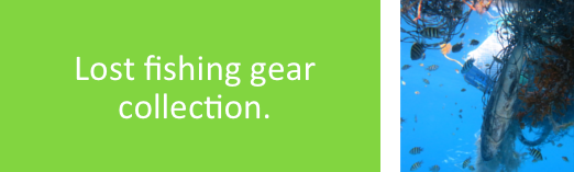 Lost fishing gear collection